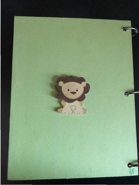 NEW BABY MINI ALBUMS