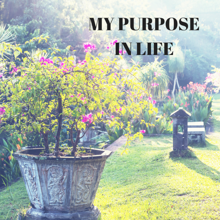 MY PURPOSE IN LIFE