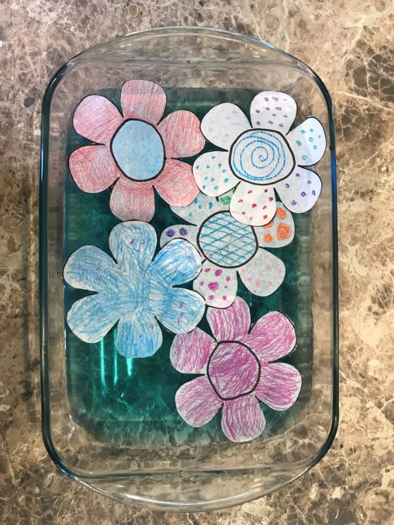 The Blooming Paper Flower Experiment